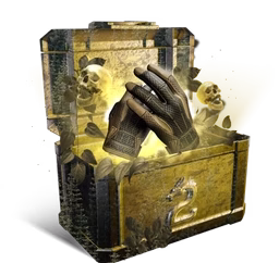 CSGO Case